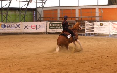Western lovas OB. 4. forduló