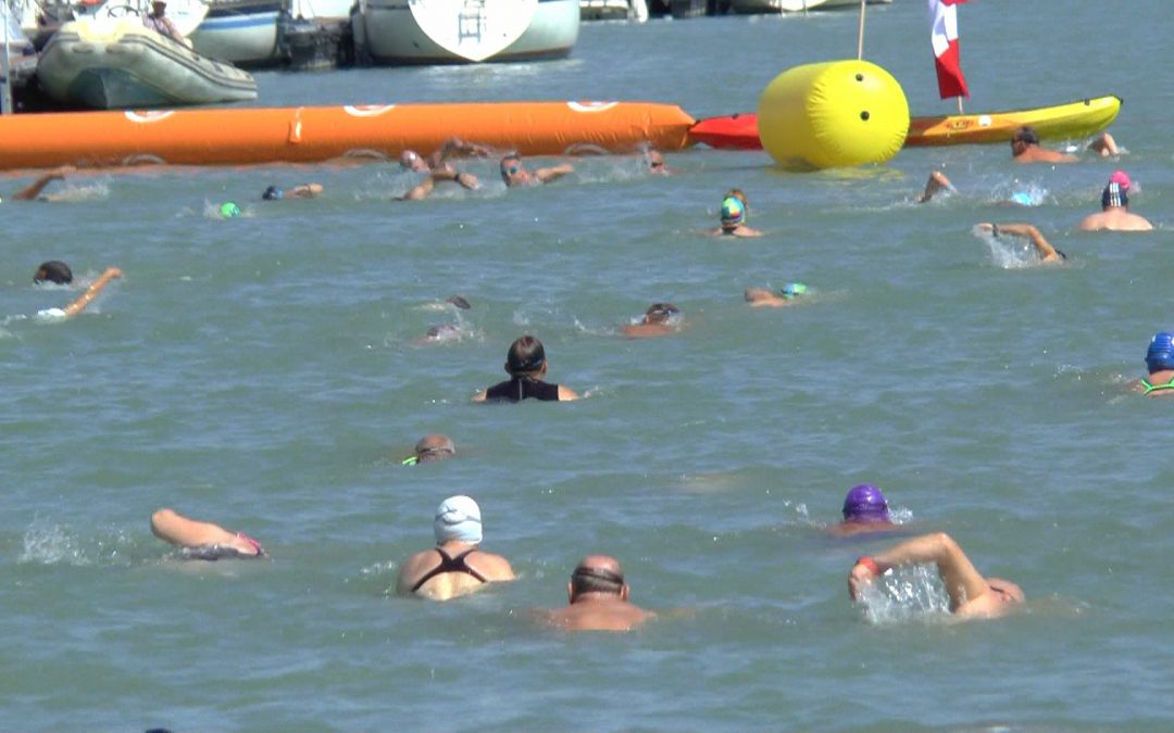 VI. BÚI Kikötő Úszás, Balatonfenyves – VIDEÓ