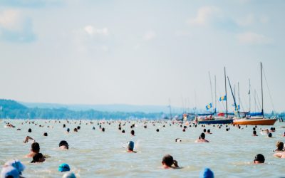 Teltház a 43. Lidl Balaton-átúszáson: 10500-an az 5,2 km-es távon!
